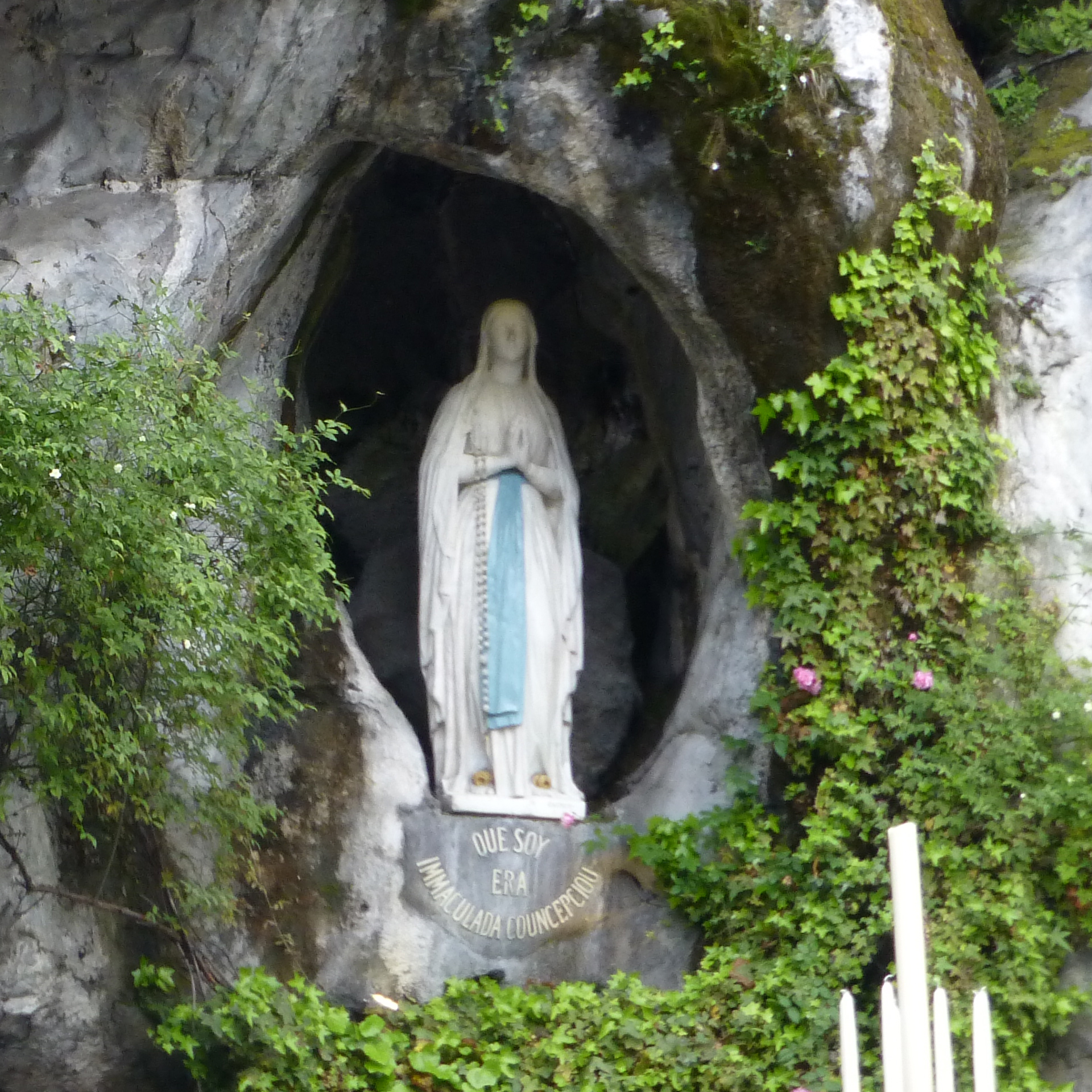 Entusiasmo e fervore a Lourdes